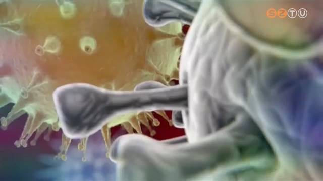 Koronavírus - negatív lett a szombathelyi nő tesztje Koronavírus - negatív lett a szombathelyi nő tesztje