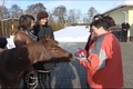 Póniló a Holnap Háza lakóinak