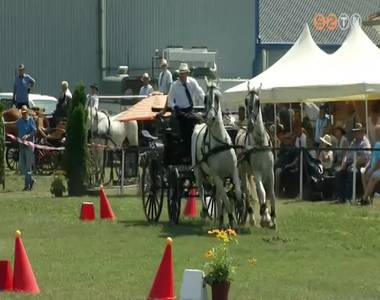 Ism�t megm�rk�ztek a legjobbak a gencsap�ti B�cs�i Fogathajt� versenyen