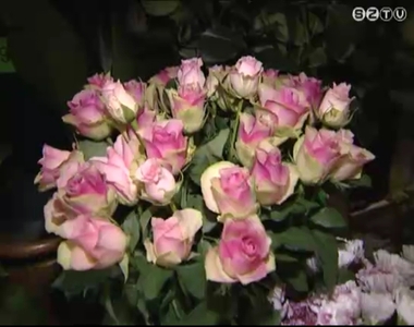 Ma van a nemzetközi nőnap Ma van a nemzetközi nőnap