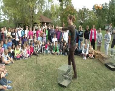 �llati j� bemutat� volt a Neumann-iskol�ban