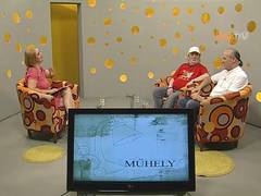 Műhely - 2017. június 20.