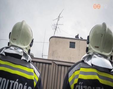 Sok feladatot ad a viharos szél a katasztrófavédőknek Sok feladatot ad a viharos szél a katasztrófavédőknek