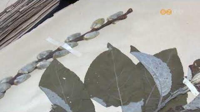 A kecskef�z lett az �v f�ja 2026-ban