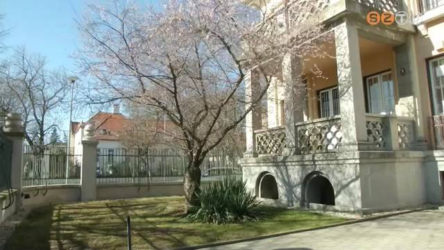 Több héttel előbbre jár a természet az ilyenkor szokásosnál Több héttel előbbre jár a természet az ilyenkor szokásosnál