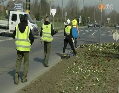 P�tolj�k az elfagyott �t menti vir�gokat