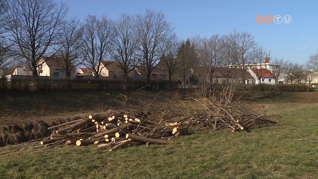 Elkezdtk a hdkrok felszmolst a vzgy munkatrsai a Perintnl