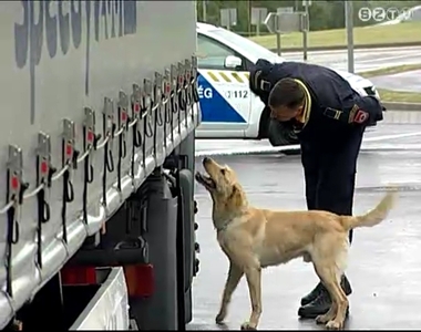 Rend�rkuty�k versenyeztek