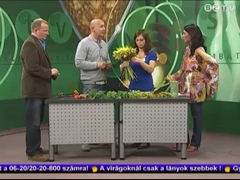 Hétvége - 2012. április 13.