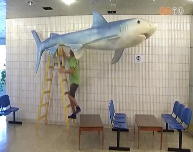 Az uszodába került az Adria-kiállítás cápája Az uszodába került az Adria-kiállítás cápája