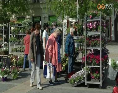 Vir�gv�s�rt tartottak a F� t�ren