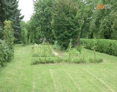 M�sodik �ve j�r be a Bats�nyi utcai kertekbe egy �z
