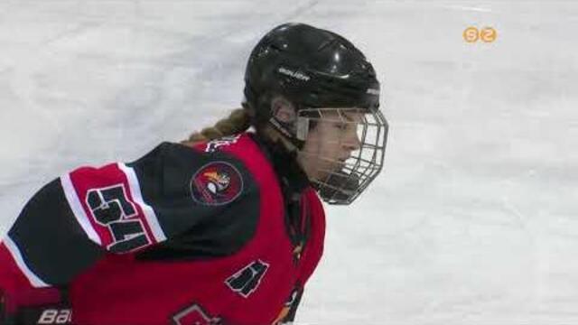 Elveszítették középszakaszbeli veretlenségüket a Szombathelyi Pingvinek Elveszítették középszakaszbeli veretlenségüket a Szombathelyi Pingvinek