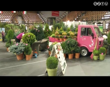 Megkezd�d�tt a 19. Faiskolai B�rze Szombathelyen