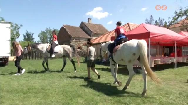 A szabadtéri és közösségi programokat részesítik előnyben idén a táborokat szervező intézmények A szabadtéri és közösségi programokat részesítik előnyben idén a táborokat szervező intézmények