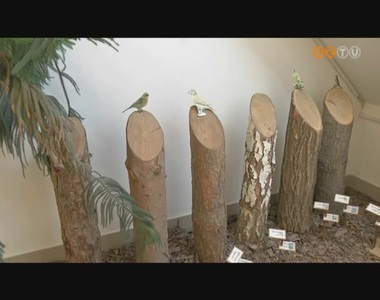 A Zr�nyi-iskola a Z�ld B�ka k�rnyezetv�delmi p�ly�zat gy�ztese