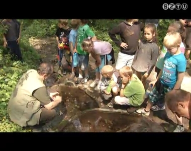 Erdei iskolai programok