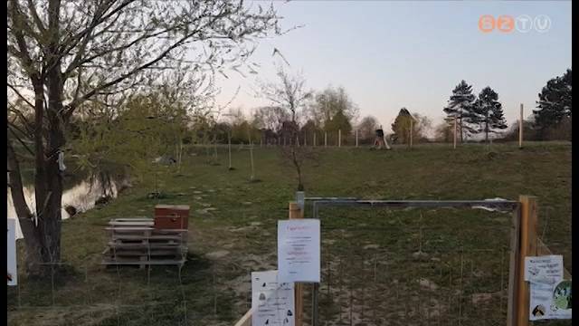 Egyel�re nem nyit ki a kutyastrand