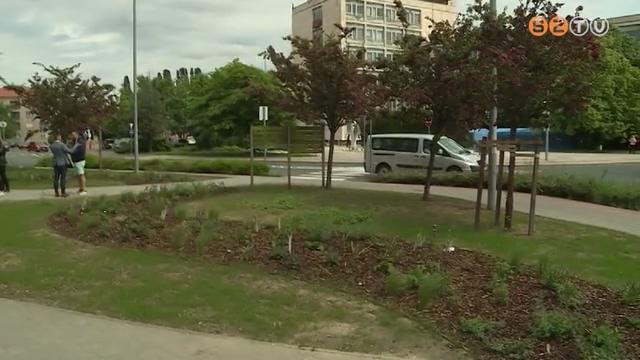 Megújult a zöldfelület a Március 15. tér Keringőként ismert részén Megújult a zöldfelület a Március 15. tér Keringőként ismert részén