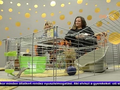 Hétvége - 2015. március 27.