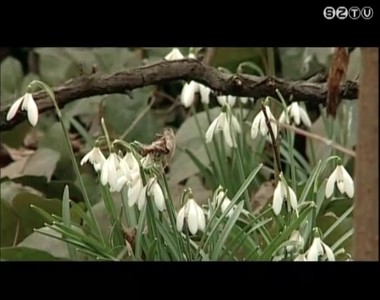 Itt a tavasz, nyílnak a virágok Itt a tavasz, nyílnak a virágok