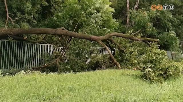 Viharkárok - Vas megyében 100 helyszínre riasztották tűzoltókat a felhőszakadás miatt Viharkárok - Vas megyében 100 helyszínre riasztották tűzoltókat a felhőszakadás miatt