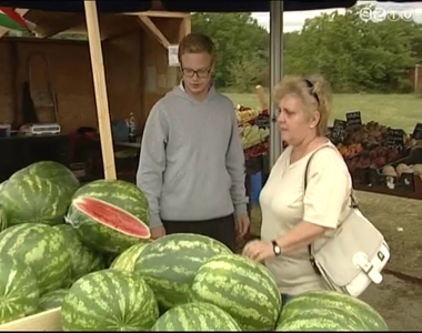 A v�s�rl�k ink�bb a magyar g�r�gdinny�t keresik, mint a k�lf�ldit