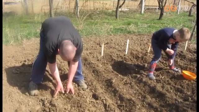 Sokan kihaszn�lt�k a h�tv�gi j� id�t egy kis kert�szked�sre