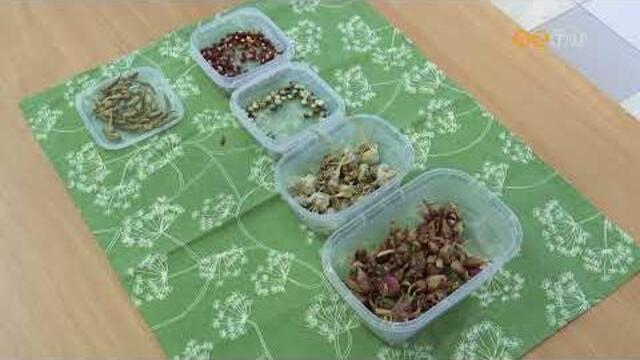 Gyűjtenek a vasi civilek a Napsugár Egyesületnek az Adventi Civil Börze keretében Gyűjtenek a vasi civilek a Napsugár Egyesületnek az Adventi Civil Börze keretében