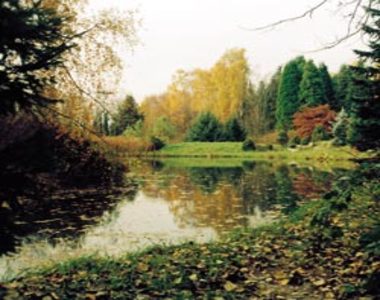 Madarak �s F�k napja az Arbor�tumban