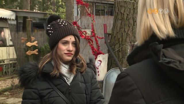 Minden vben tbb kutya szkik el otthonrl, mert pnikba esik a durrogtatstl