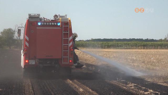 Égett a tarló és az erdő ajlnövényzete a 87-es út mentén Égett a tarló és az erdő ajlnövényzete a 87-es út mentén