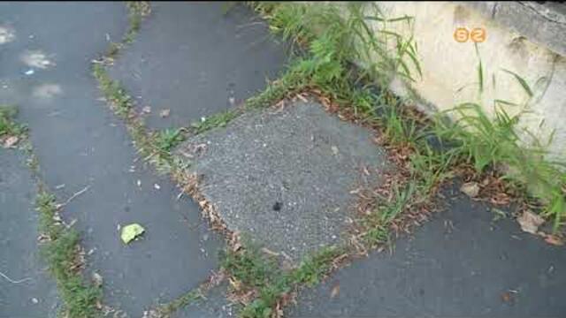 Megjul a jrda a Hadnagy utca pros oldaln