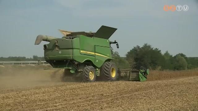 Jó közepes termés lett idén szójából Jó közepes termés lett idén szójából