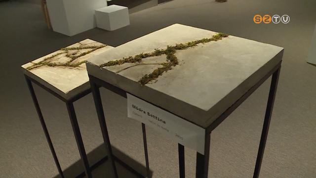 Szeptember 4-ig látogatható a Slow animals című időszaki kiállítás a Szombathelyi Képtárban Szeptember 4-ig látogatható a Slow animals című időszaki kiállítás a Szombathelyi Képtárban