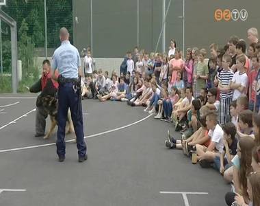 B�nmegel�z�si el�ad�s a Brenner iskol�soknak