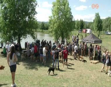 Hivatalosan is megnyílt Vas megye első kutyastrandja az Abért-tónál Hivatalosan is megnyílt Vas megye első kutyastrandja az Abért-tónál