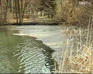 Alg�s a Cs�-t� 