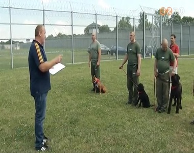 Hat kutya kapott kik�pz�st hat fogvatartott�l a szombathelyi b�rt�nben