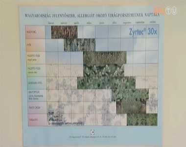 Szokatlanul kor�n indult a tavaszi pollenszezon