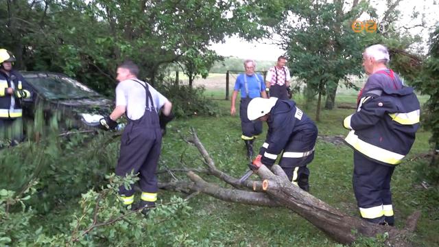 Viharos napok Viharos napok