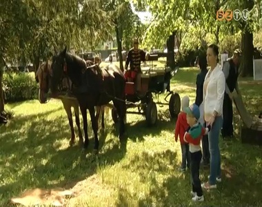 Lovas hadt�rt�neti bemutat�