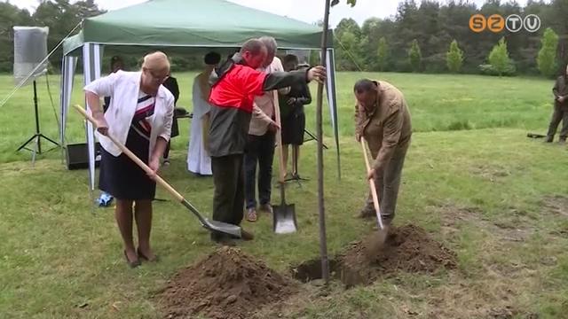 Ápolók fája Ápolók fája