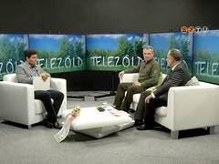 Telezöld - 2018. október 31.