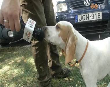 Elkezd�d�tt az eb�ssze�r�s