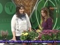 Hétvége - 2015. október 30.