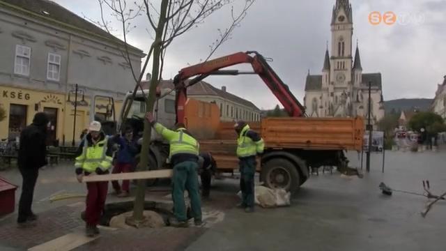 A Föld Napja A Föld Napja