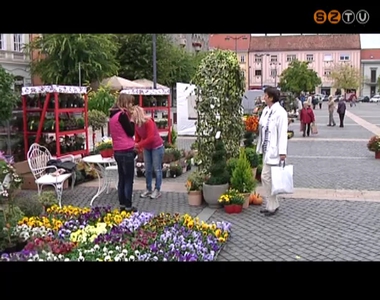 Őszi cserje- és virágvásárt rendezett a Fő téren a Szépítő Egyesület Őszi cserje- és virágvásárt rendezett a Fő téren a Szépítő Egyesület