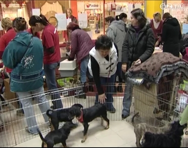 �r�kbefogad� napot tartott a Fekete Istv�n �llatv�d� Egyes�let