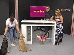 Htvge - 2019. jlius 12.